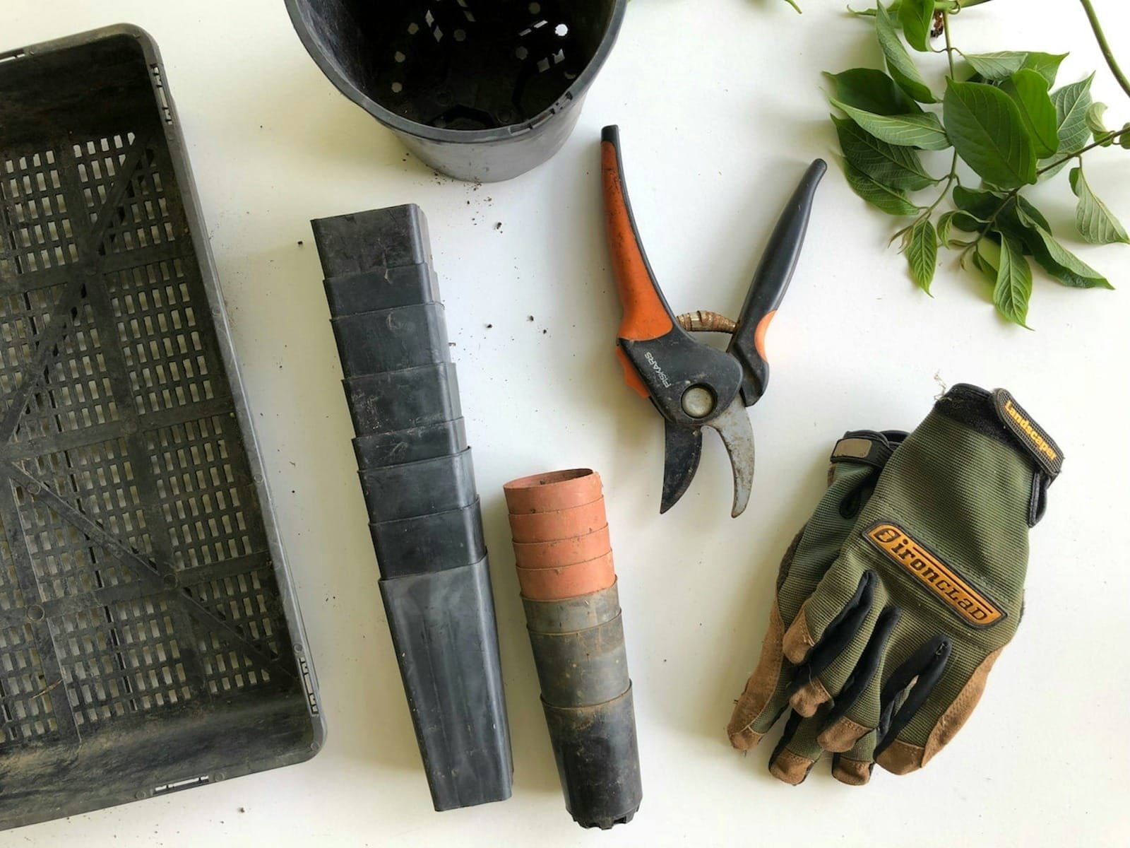 Gardening tools and equipment at CurrentGardening workspace