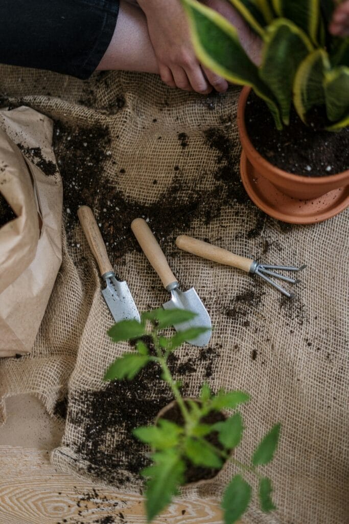 tools about gardening