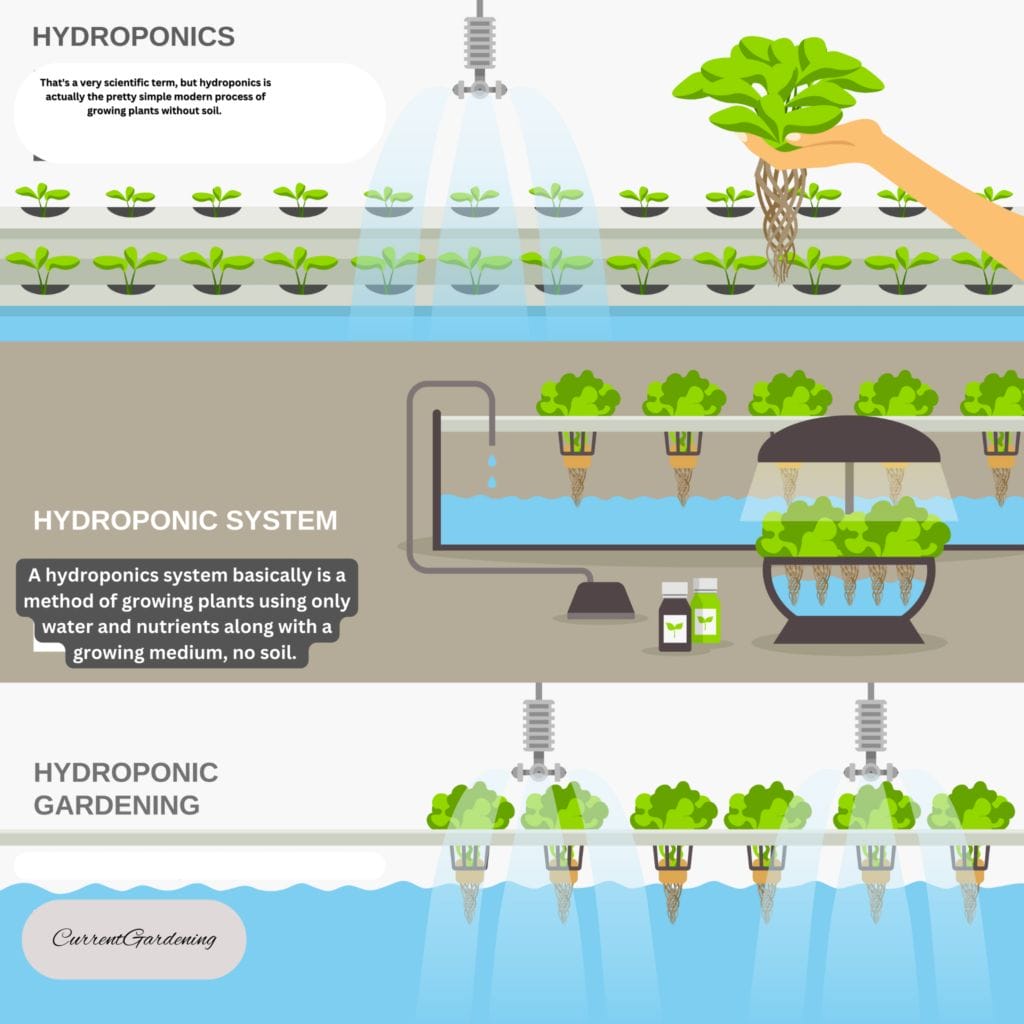 hydroponic system