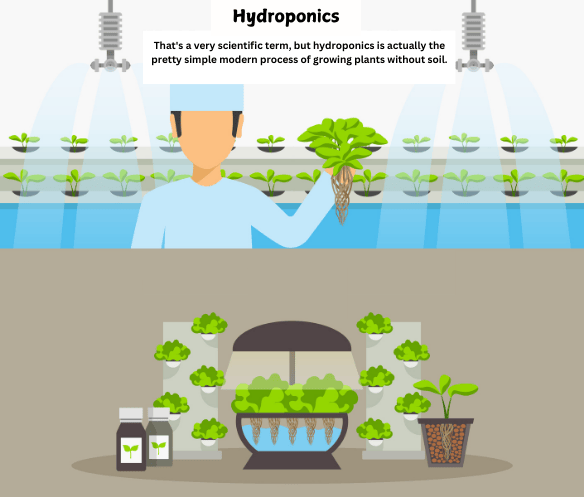 Hydroponics-Current-Gardening