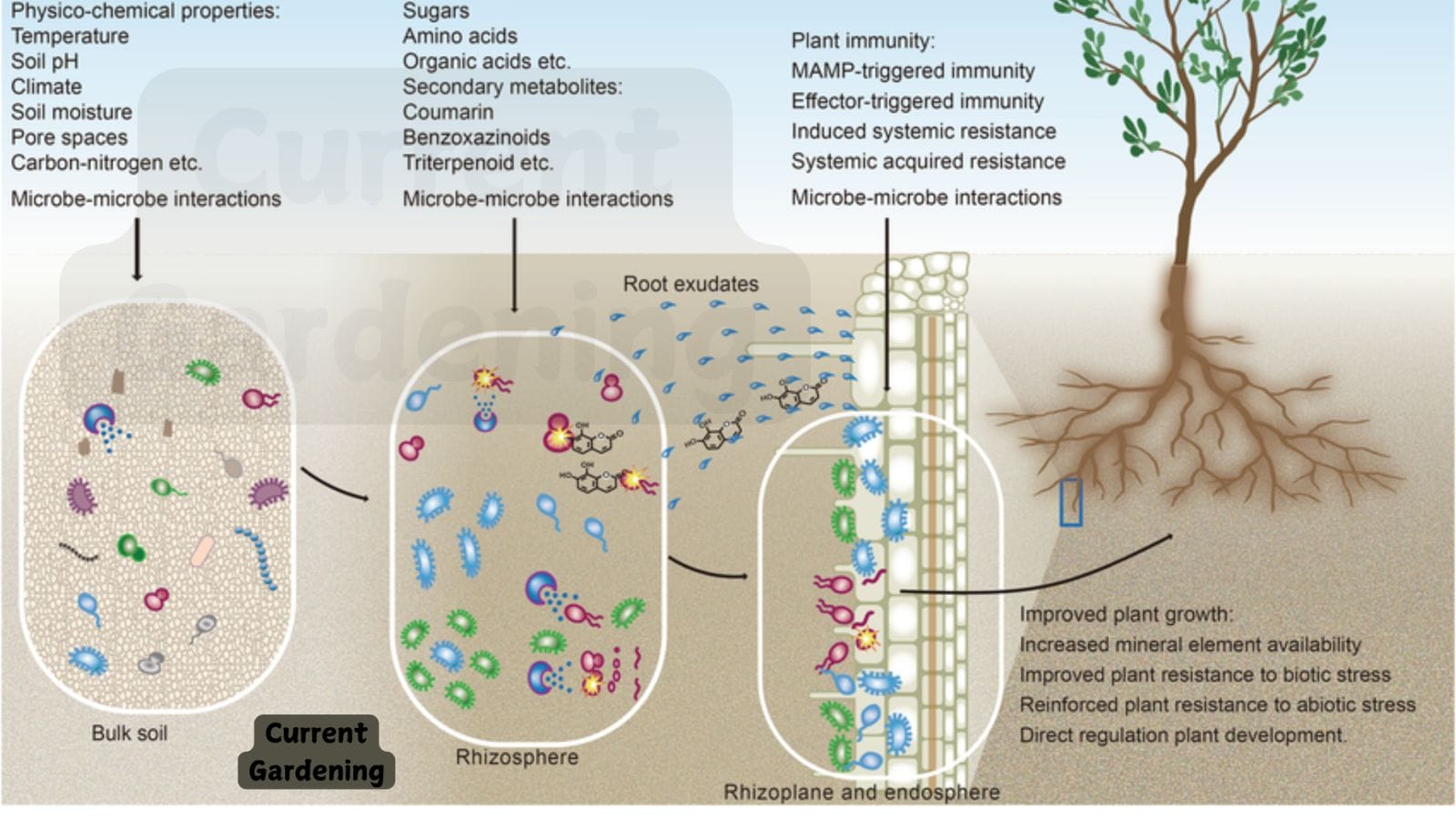 root microbiome structure