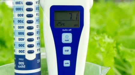 The Secret to Hydroponics: How to Grow Plants Faster and Smarter 5 temperature control